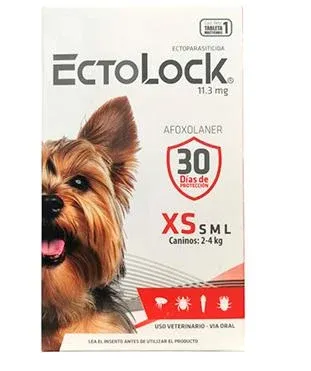 ECTOLOCK 2-4kg